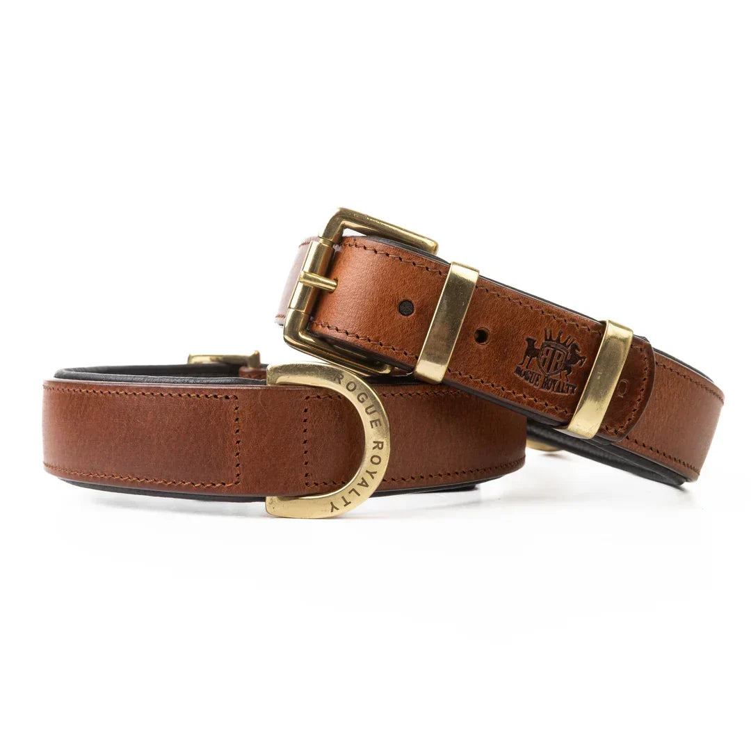 Leather Dog Collars Australia: Why Quality Builds Last and Cheap Ones Don't