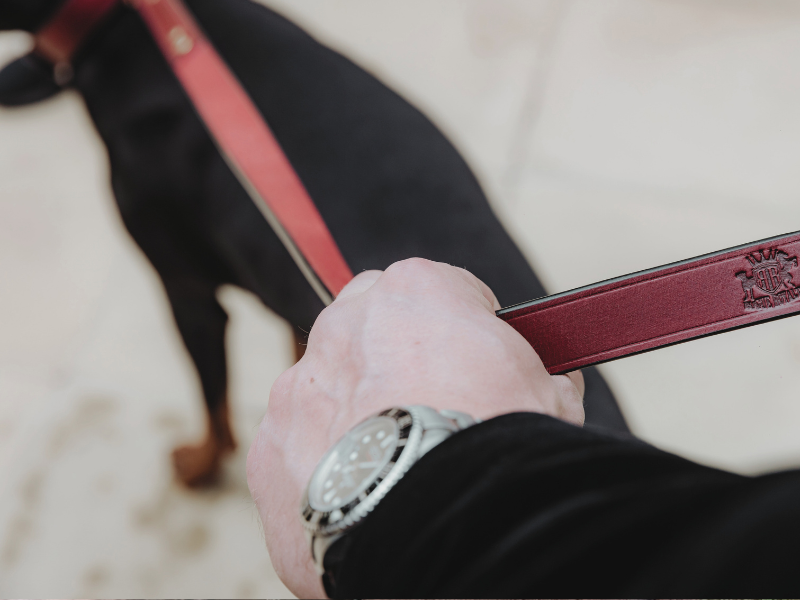 How to Care for Your Leather Dog Leash: Maintenance Tips and Tricks