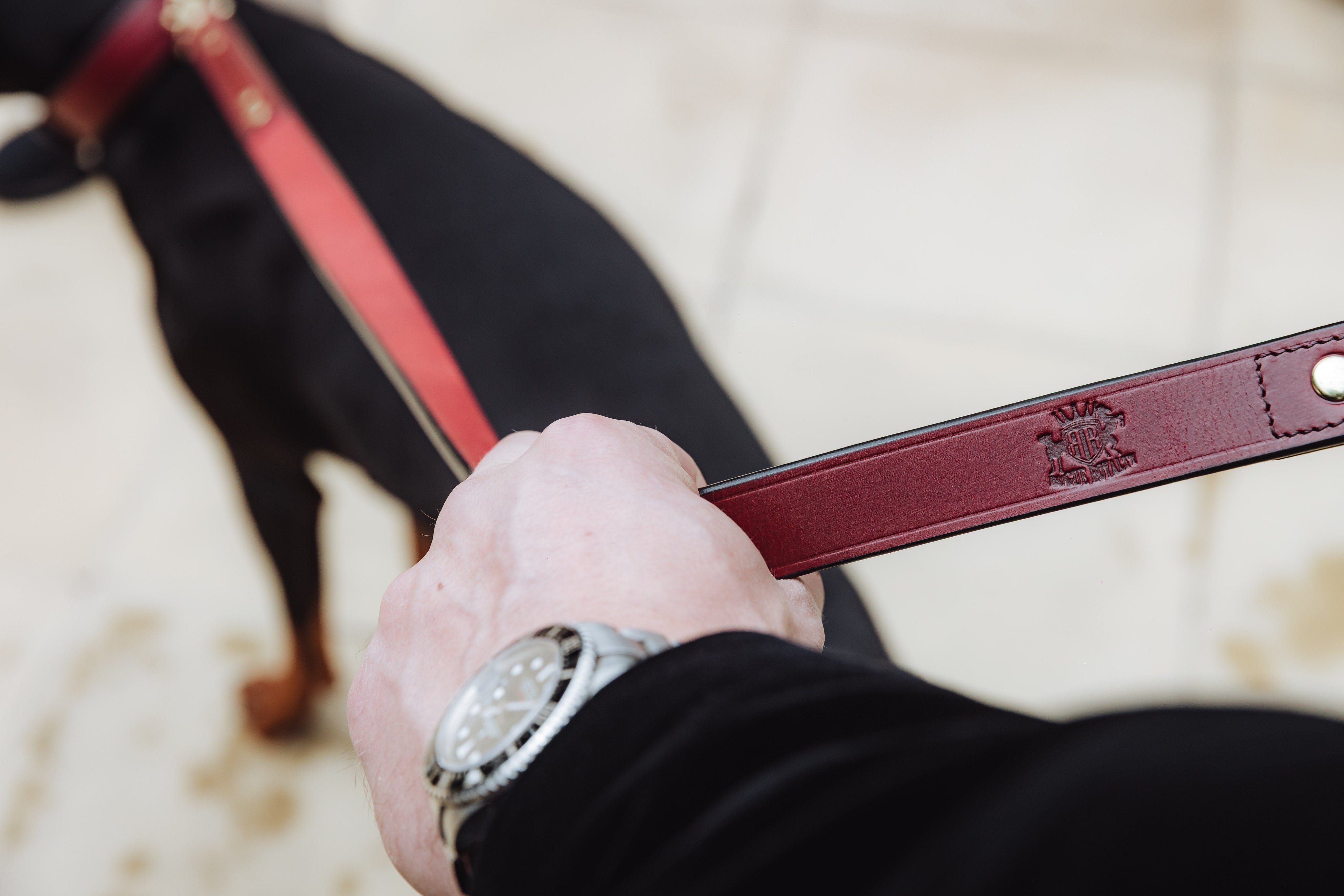 DOG LEASH COLLECTION