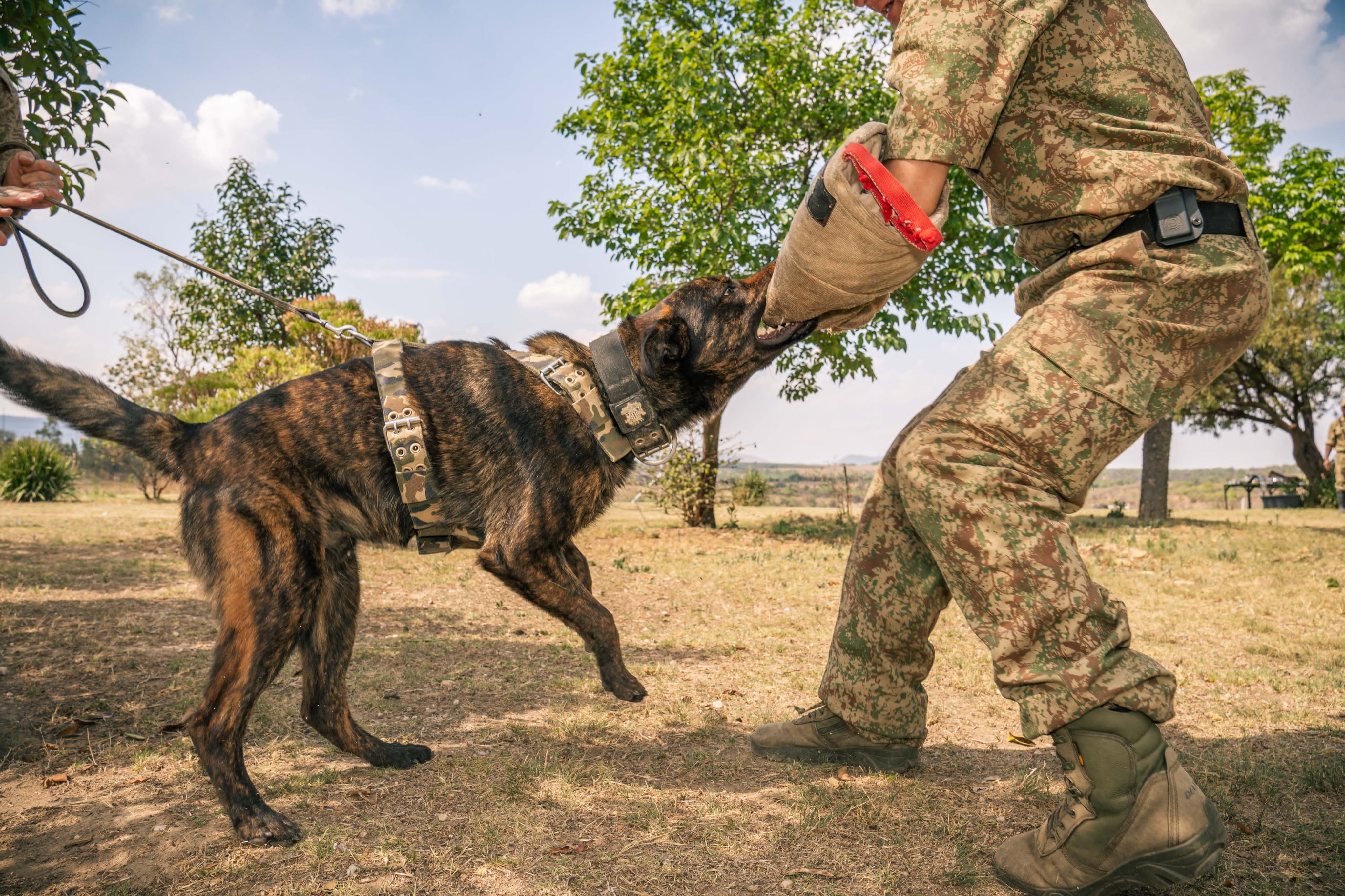 SUPATUFF® HEAVY DUTY STRONG DOG HARNESS