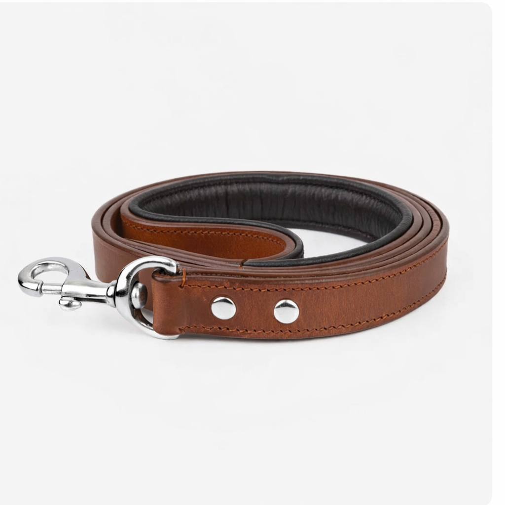 Leather Dog Leash - Classic Brown & Chrome Leash (Standard)
