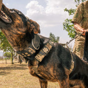 SUPATUFF® Strong Dog Harness – Camoflague | Regular Fit