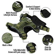 Active-X Lightweight Dog Harness – Green Clearance