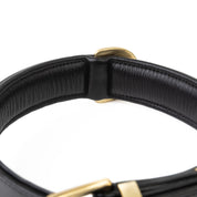 Hand Made Leather Dog Collar - RuffNeck Black & Brass (Regular Fit)