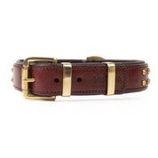 Hand Made Leather Dog Collar - RuffNeck Cherry & Brass (Regular Fit)