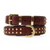 Hand Made Leather Dog Collar - RuffNeck Cherry & Brass (Regular Fit)