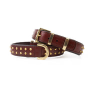 Hand Made Leather Dog Collar - RuffNeck Cherry & Brass (Regular Fit)