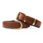 Leather Dog Collar - Classic Brown & Brass (Regular Fit)