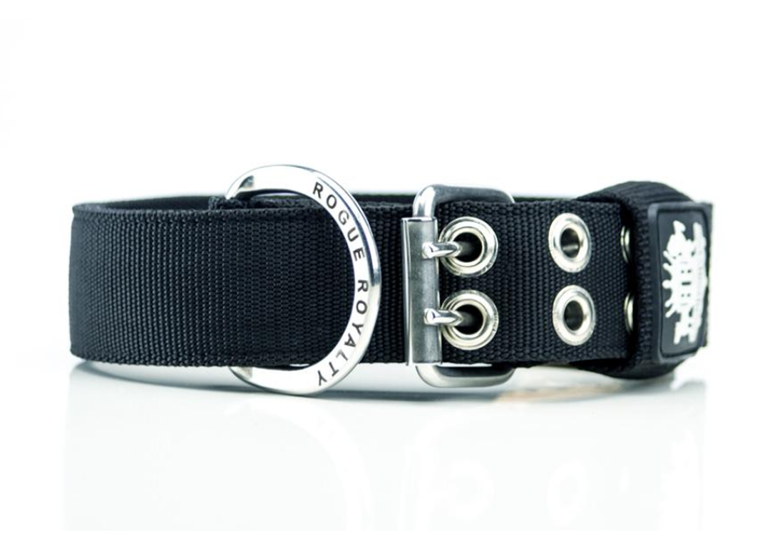 Heavy_Duty_Strong_Dog_Collars_front_view_of_buckel_and_eyelets..png