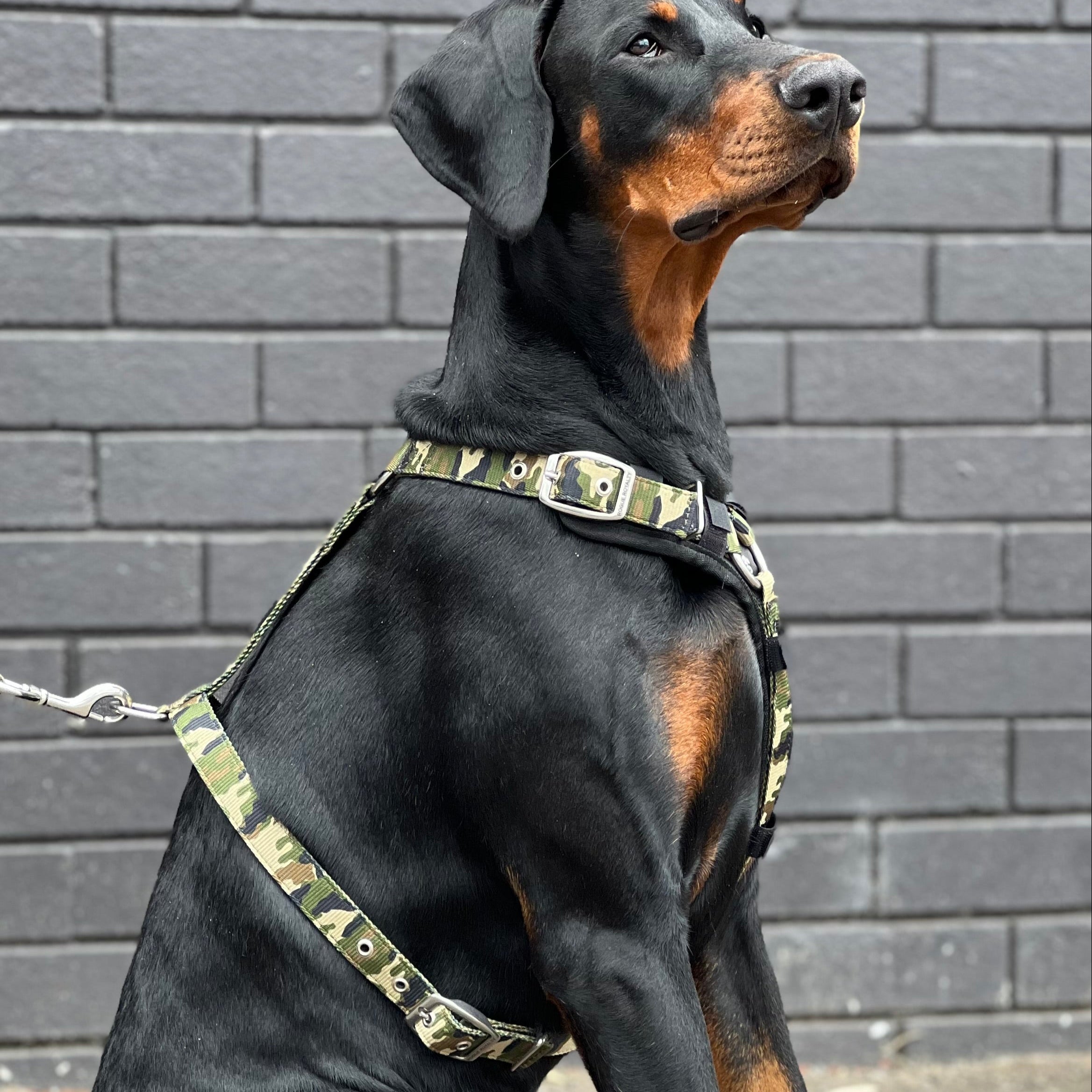 SUPATUFF® Strong Dog Harness – Camoflague | Slim Fit