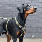 SUPATUFF® Strong Dog Harness – Camoflague | Slim Fit