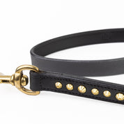 Leather Dog Leash - Ruthless Black & Brass (Standard)