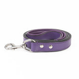 Leather Dog Leash - Classic Purple & Chrome Leash(Standard)