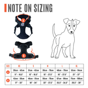 Active-X Lightweight Dog Harness – Black Clearance