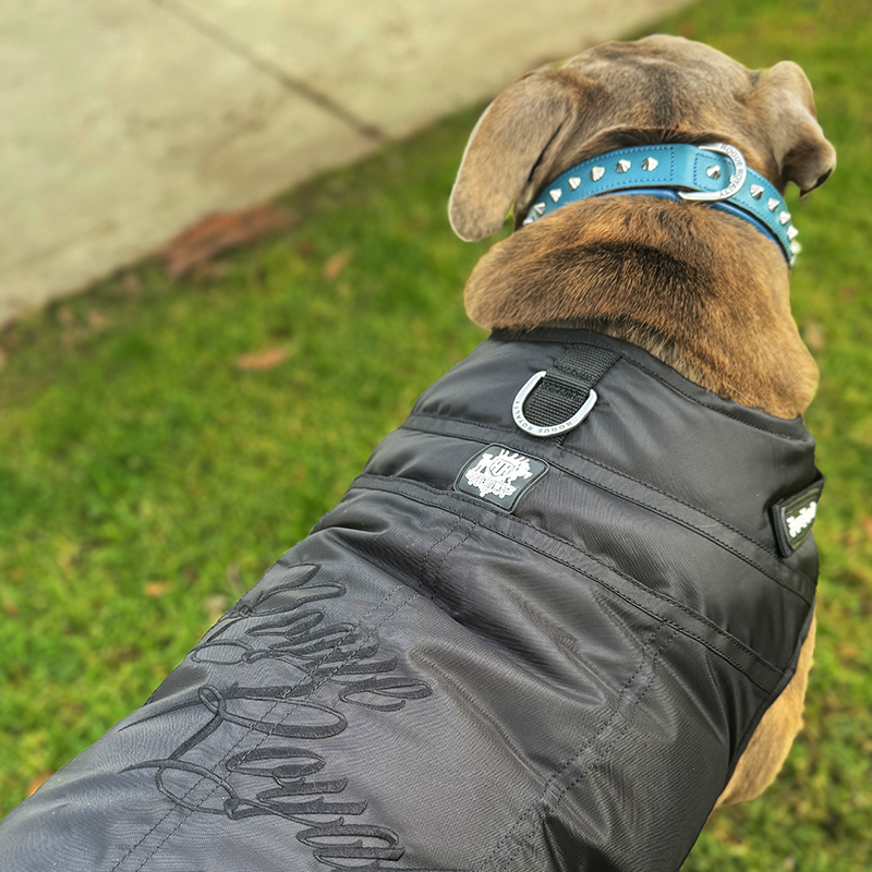 Dog Jacket | Fast Fit Black