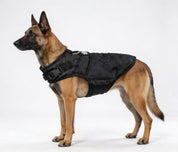 Dog Jacket | Rogue Active Black