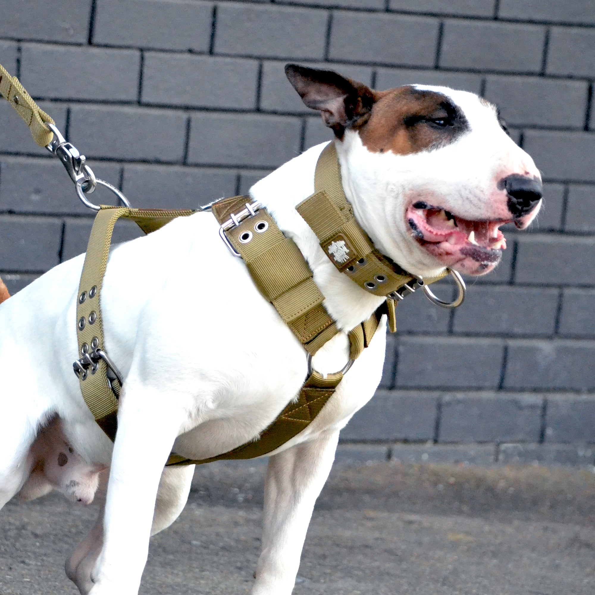 SUPATUFF® Heavy Duty Dog Harness – Desert Wolf | Wide Fit