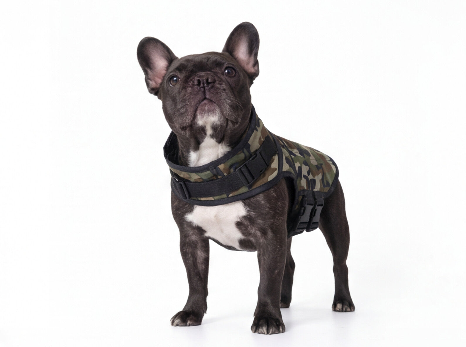 Dog Jacket | Rogue Active Camouflage