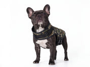 Dog Jacket | Rogue Active Camouflage