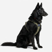Active-X Lightweight Dog Harness – Green Clearance