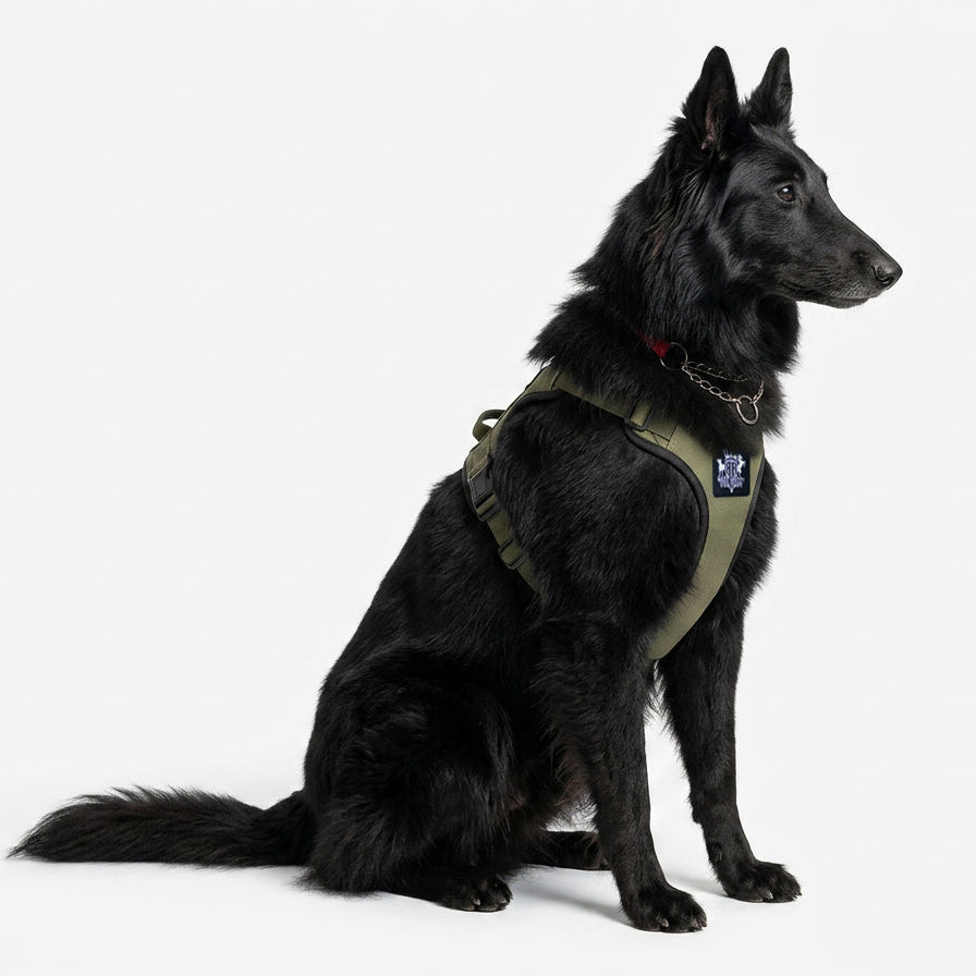 green-activex-harness-1.jpg