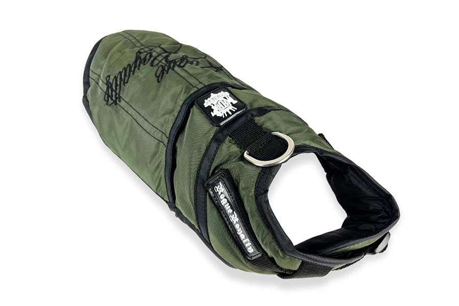 green-dog-winter-jacket.jpg