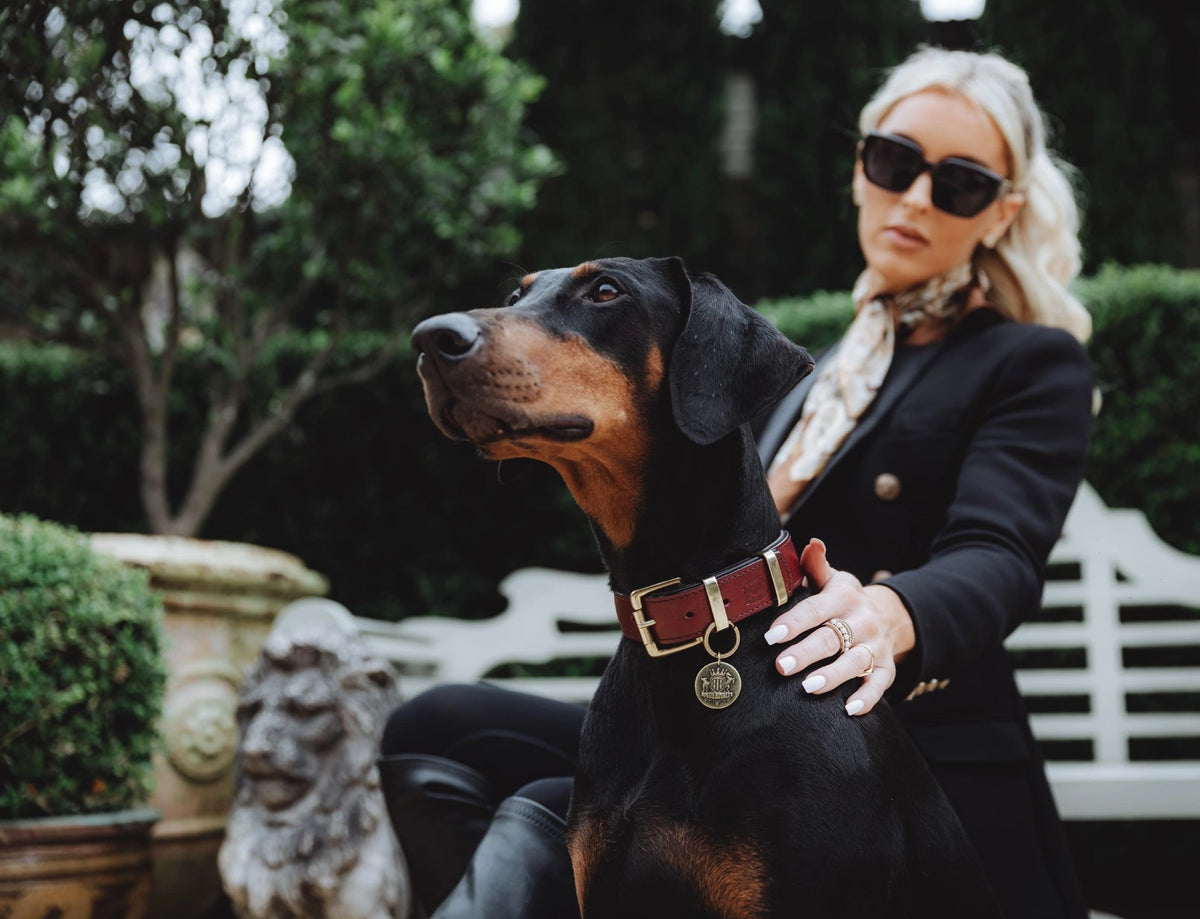 Handmade-Leather-Dog-Collars