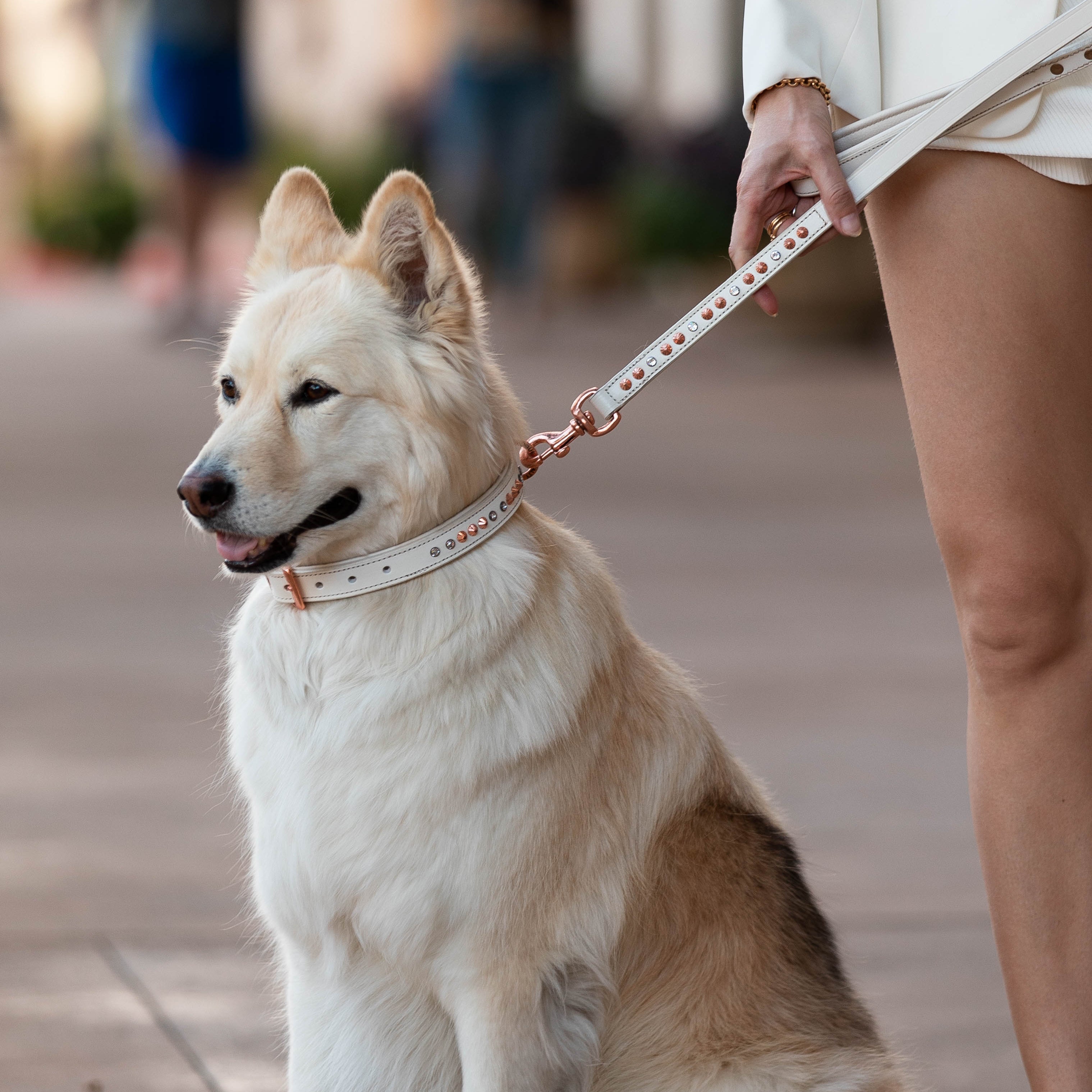 Hand Made Leather Dog Collar - White Crystal Rose Gold (Slim Fit)