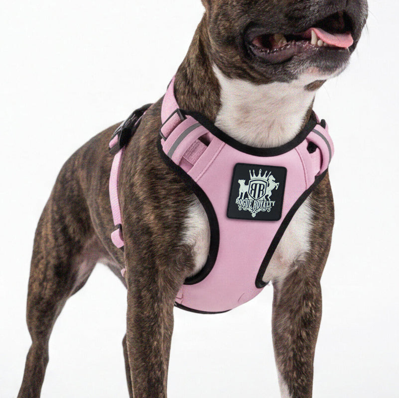 Dog wearing a pink support arness with a Rogue Royalty brand logo on a white background
