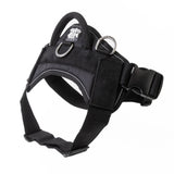 Quick Fit Dog Harness - Black