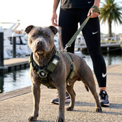 SUPATUFF® Strong Dog Harness – Shadown Green | Regular Fit