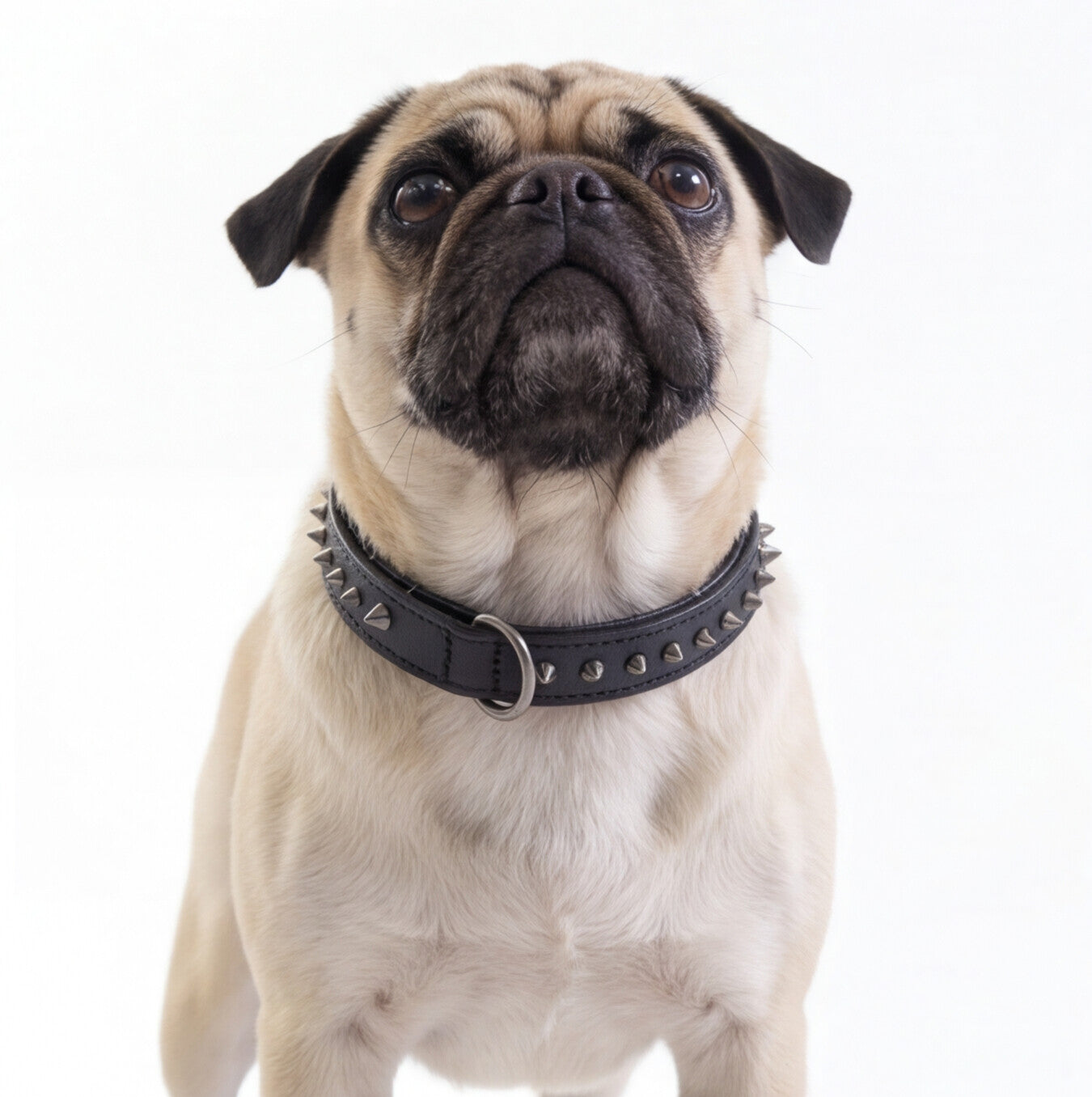 Hand Made Leather Dog Collar - Ruthless Black & Black (Slim Fit)
