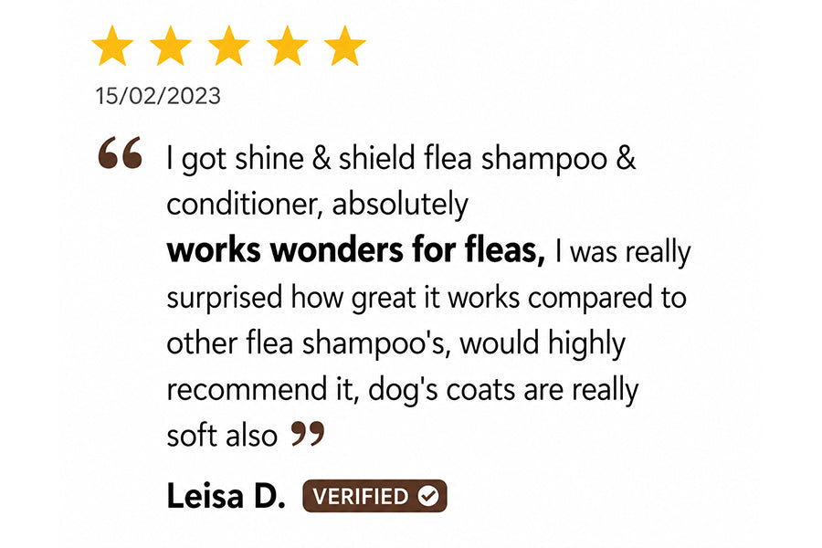 shine_and_shield_testimonial-leisa3.jpg