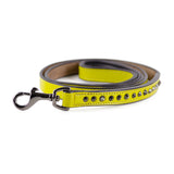 Leather Dog Leash - Ruthless Yellow & Black (Slimline)