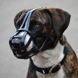 Dog Muzzle - Leather Basket Standard