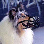 dog muzzle leather