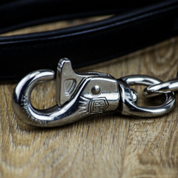 steel-chain-dog-leads