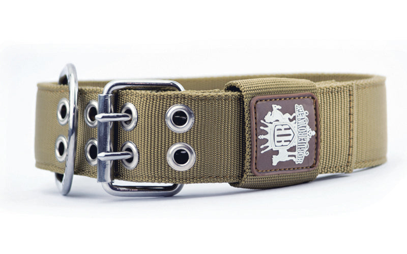 Heavy Duty Desert Wolf Dog Collar